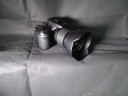 DSC02933.JPG