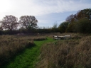 DSCF6592.JPG