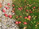 DSCF6604.JPG