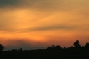 IMG_3130PS.jpg