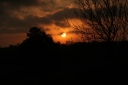 IMG_3278PS.jpg