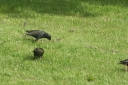 IMG_5390.JPG