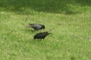 IMG_5391.JPG