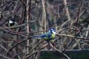 IMG_9570PS.jpg