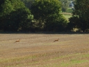 PC180478.JPG