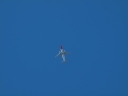 PC180493.JPG